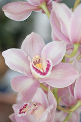 Similar image 7971221