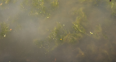 Similar image 7971438