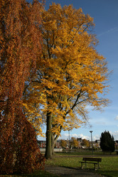 Similar image 7971506