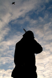 Similar image 7971514