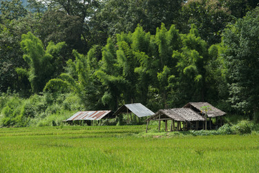 Similar image 7971518