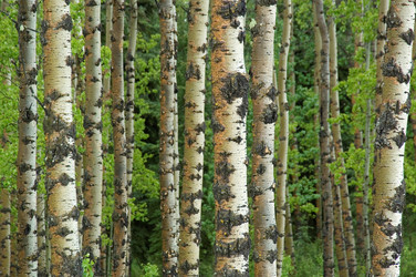 Similar image 7971519