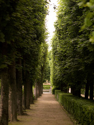 Similar image 7971521