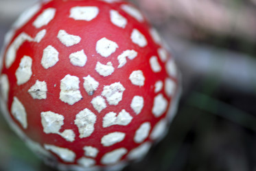 Similar image 7971523