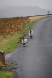 Similar image 7971524