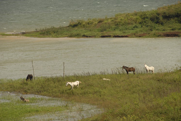 Similar image 7971526