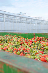 Similar image 7971527