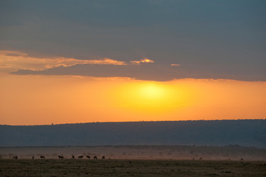 Similar image 7971529