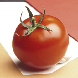 Similar image 7971536