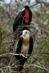 Similar image 7971537