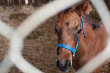 Similar image 7971540