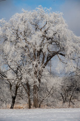 Similar image 7971548