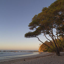 Similar image 7971549