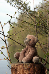 Similar image 7971553