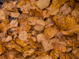 Similar image 7971555