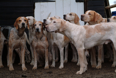 Similar image 7971556