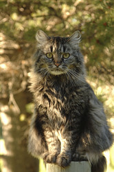 Similar image 7971564