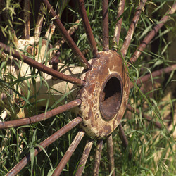 Similar image 7971582