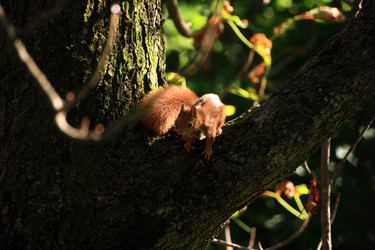 Similar image 7971585