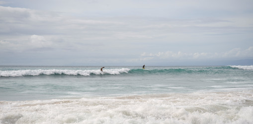 Similar image 7971586