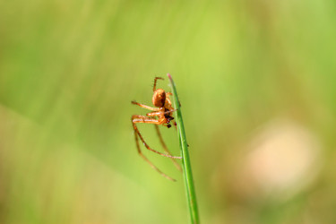 Similar image 7971594