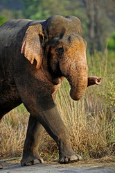 Similar image 7971612