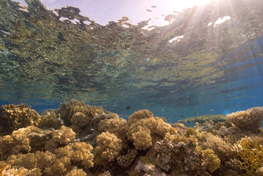 Similar image 7971613