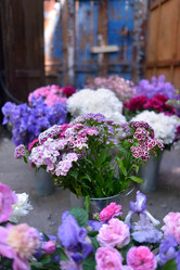 Similar image 7971619