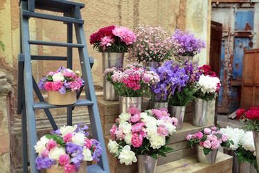 Similar image 7971621