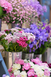 Similar image 7971622