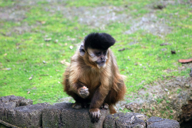 Similar image 7971628