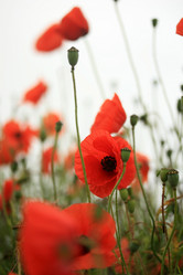 Similar image 7971638