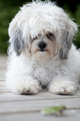 Similar image 7971647