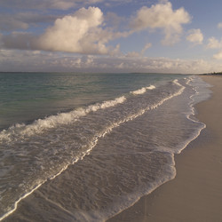 Similar image 7971648