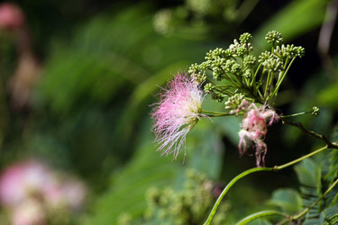 Similar image 7971662