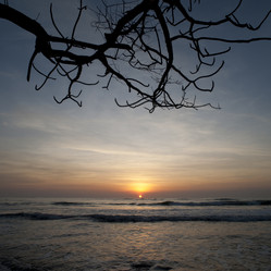 Similar image 7971671