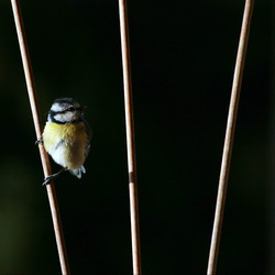 Similar image 7971679