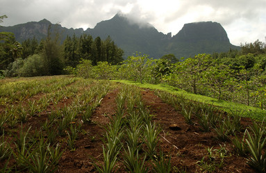 Similar image 7971681