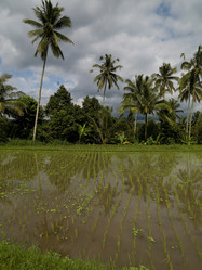 Similar image 7971684