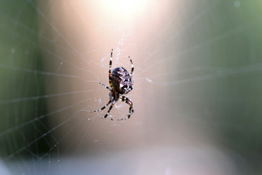 Similar image 7971687