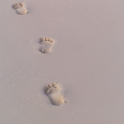 Similar image 7971699