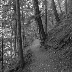 Similar image 7971703