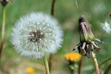 Similar image 7971713