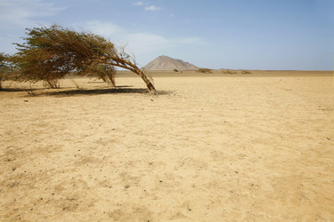 Similar image 7971717