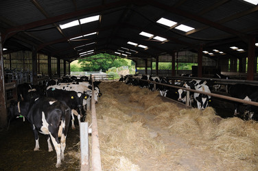 Similar image 7971737