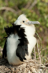 Similar image 7971758