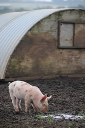 Similar image 7971760