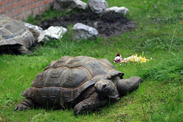 Similar image 7971768