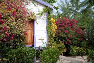 Similar image 7971779