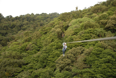 Similar image 7971781